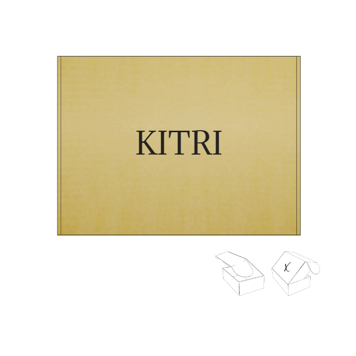 300x220x55 Caja para Electrónica Personalizable -