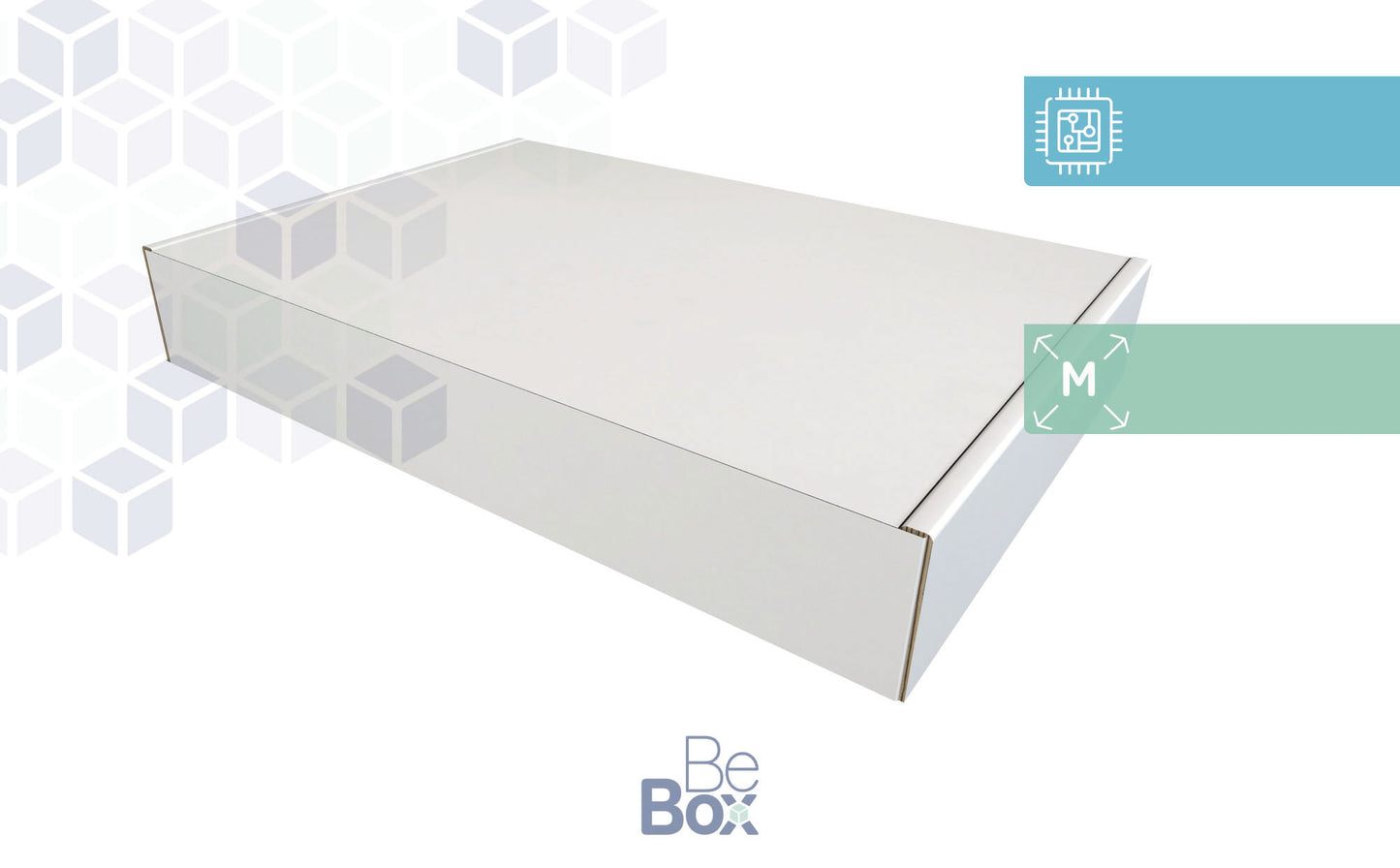 300x220x55 Caja para Electrónica Personalizable -