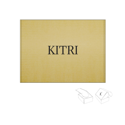 300x220x55 Caja para Electrónica Personalizable -